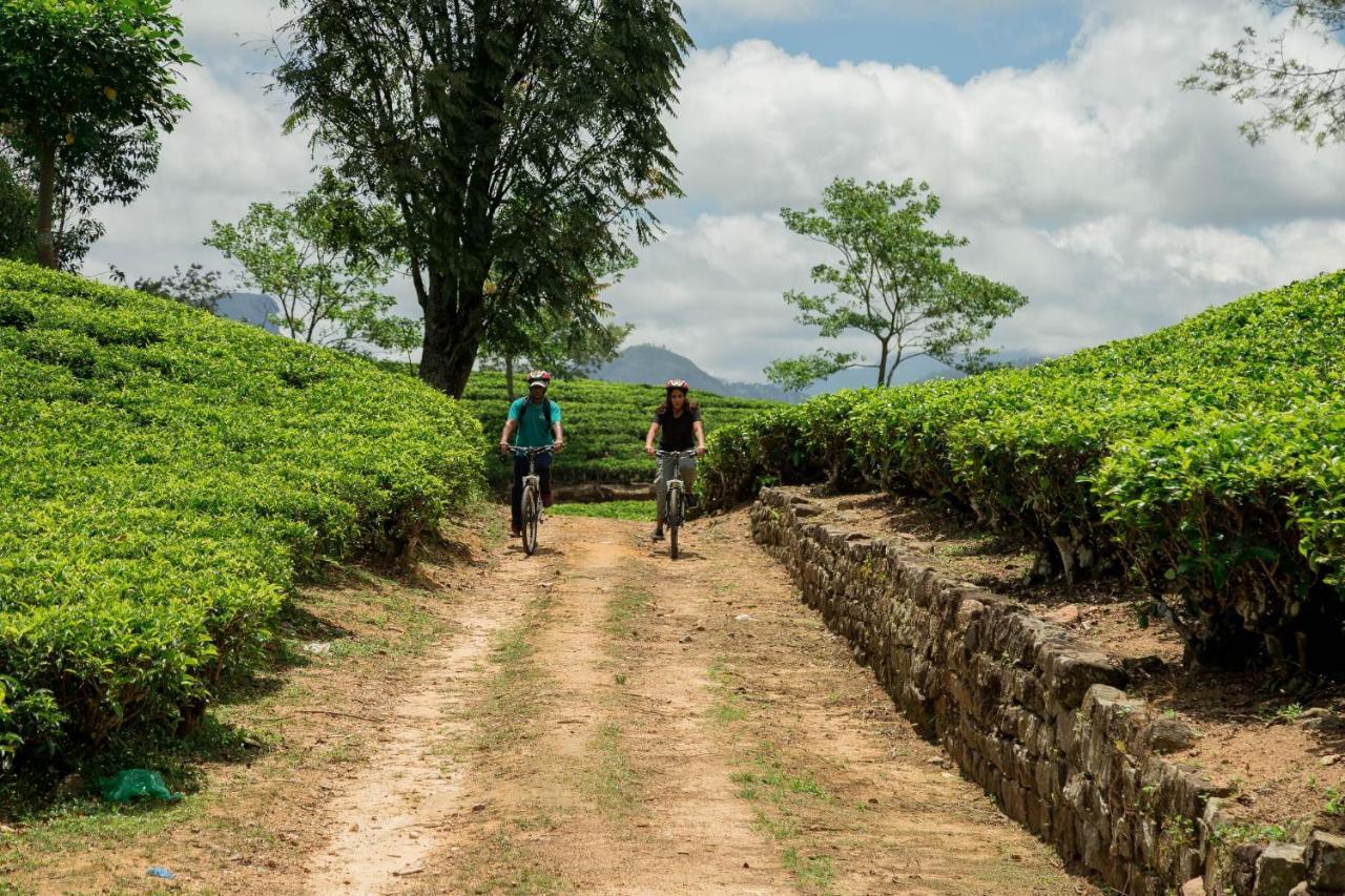 Ceylon Tea Trails - Relais And Chateaux Hatton Kültér fotó